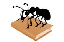 Logo for AntPConc Logo for AntPConc